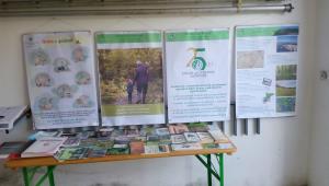 10. Dan Menine in 8. Noč Menine, tema Podzemno bogastvo Menine 13